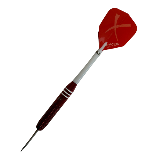 Fléchettes Bull's Wega...