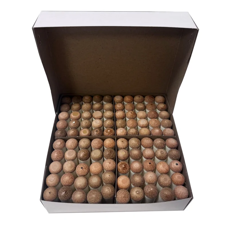 Embouts Push on 11 mm  (par 100) - A253A