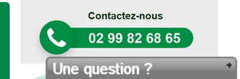 Live Chat